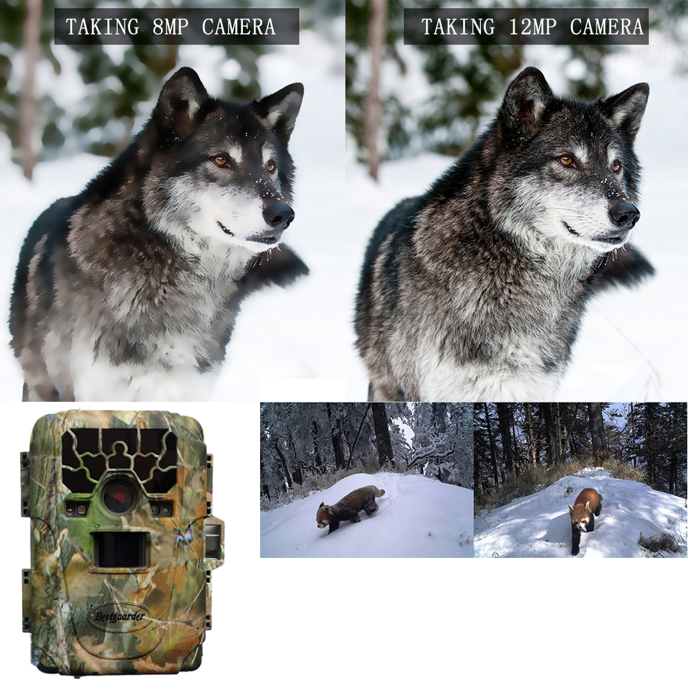 Охотничья фотоловушка SG-880V